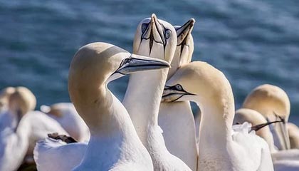 亚运会裁判判完就走?合同拉扯背后还有一段:一句话把气氛点燃