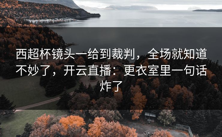 西超杯镜头一给到裁判,全场就知道不妙了,开云直播:更衣室里一句话炸了
